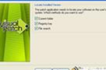 Visual Patch预览：